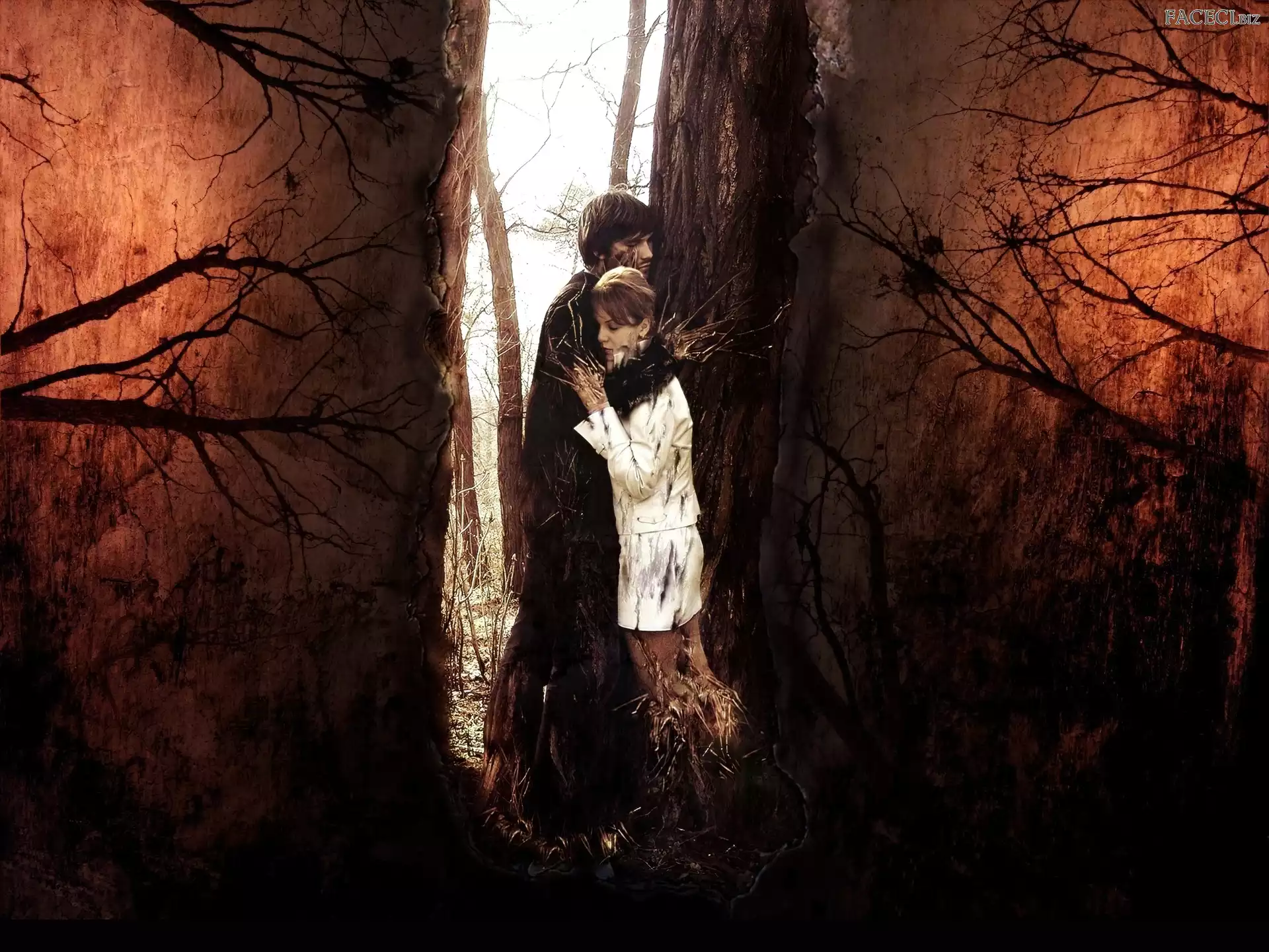 Grafika, Krzewy, Mężczyzna, Kobieta, Suche