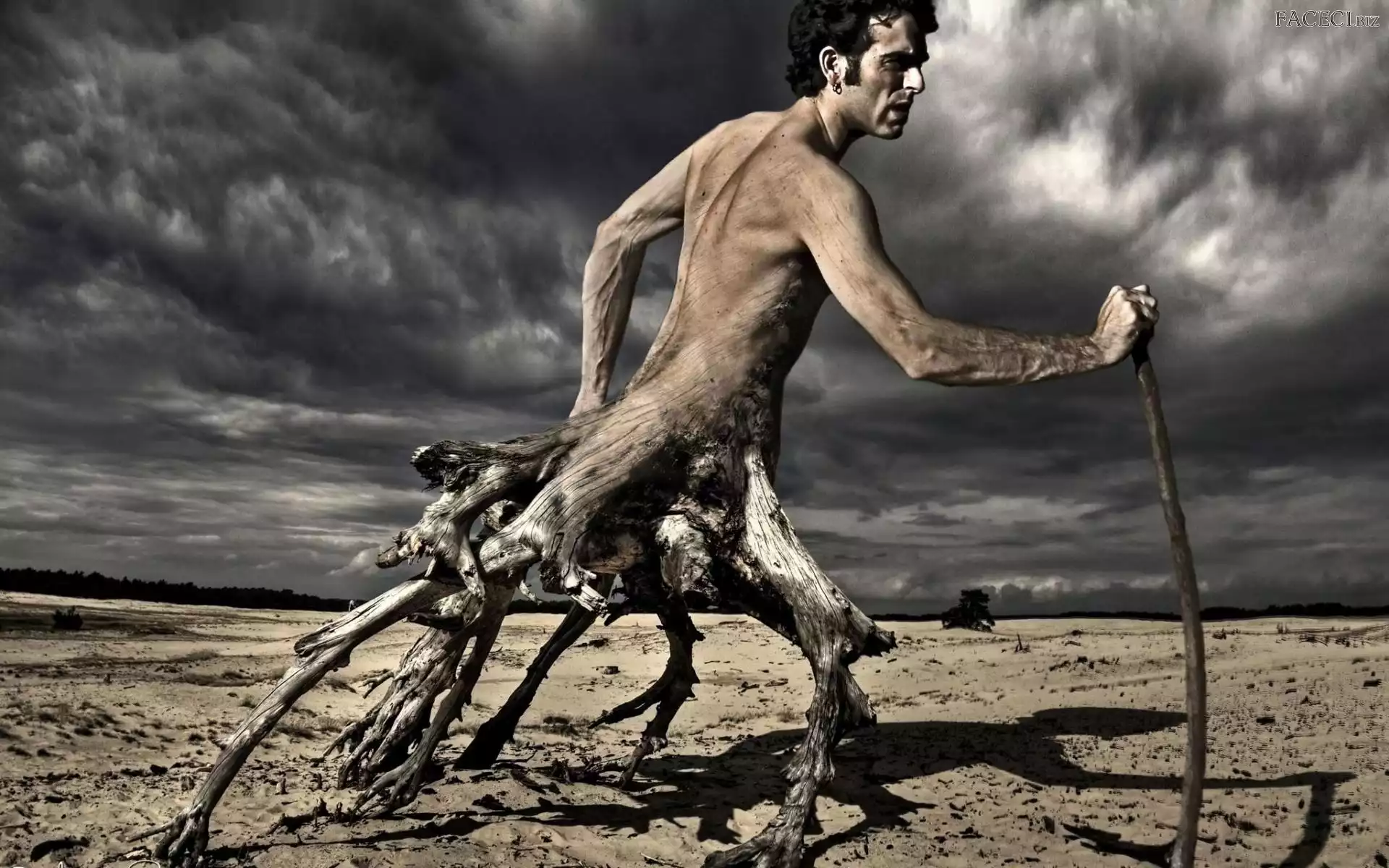 Korzenie, Nóg, Mężczyzna, Zamiast