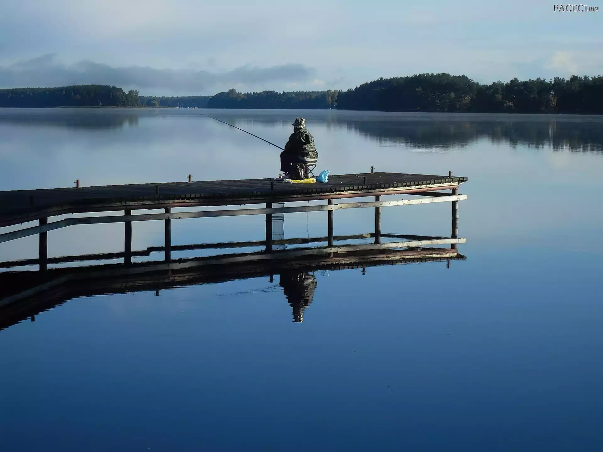 Las, Mgła, Jezioro, Wędkarz, Pomost